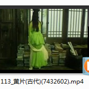 /video/1/shipin/113_small.jpg